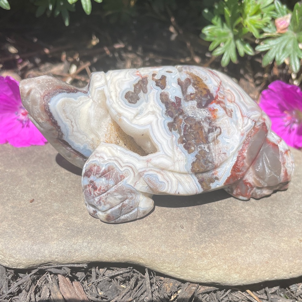 Crazy Lace Agate Turtle Carving